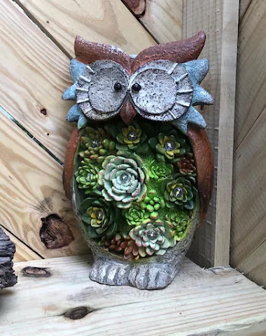 Image product - 2