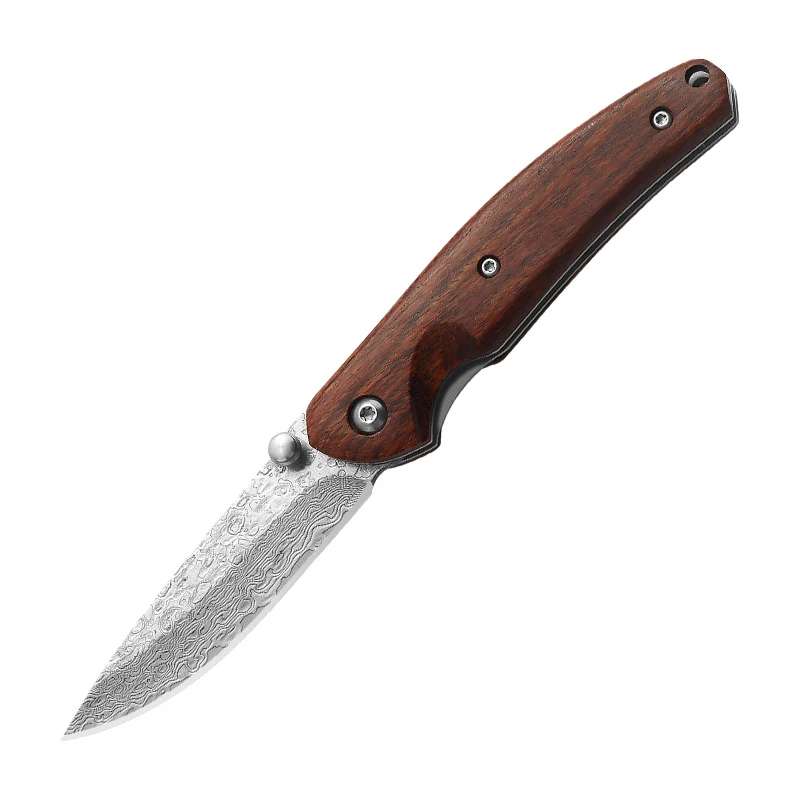 Outdoor Carry Field Mini Fruit Knife Portable Compact Knife Perfect for Fruit Snacks on Adventures Lightweight Durable E — photo 1