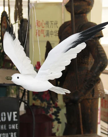 Image product - 2