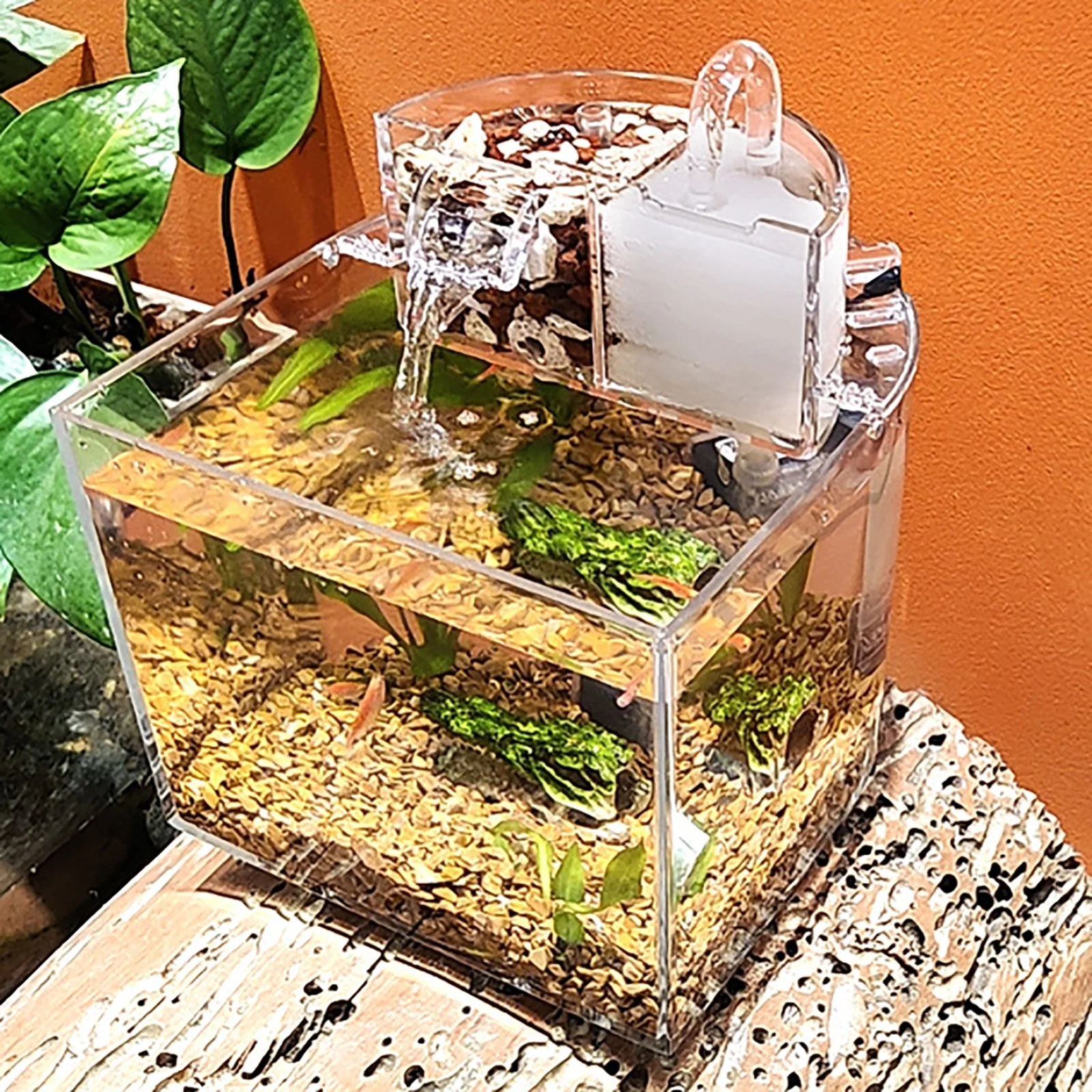 Title 4, Mini Desktop Fish Tank Set with cover Water Fil...