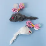 Rat gray random