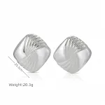 Steel Earrings