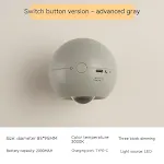 Switch Button Gray