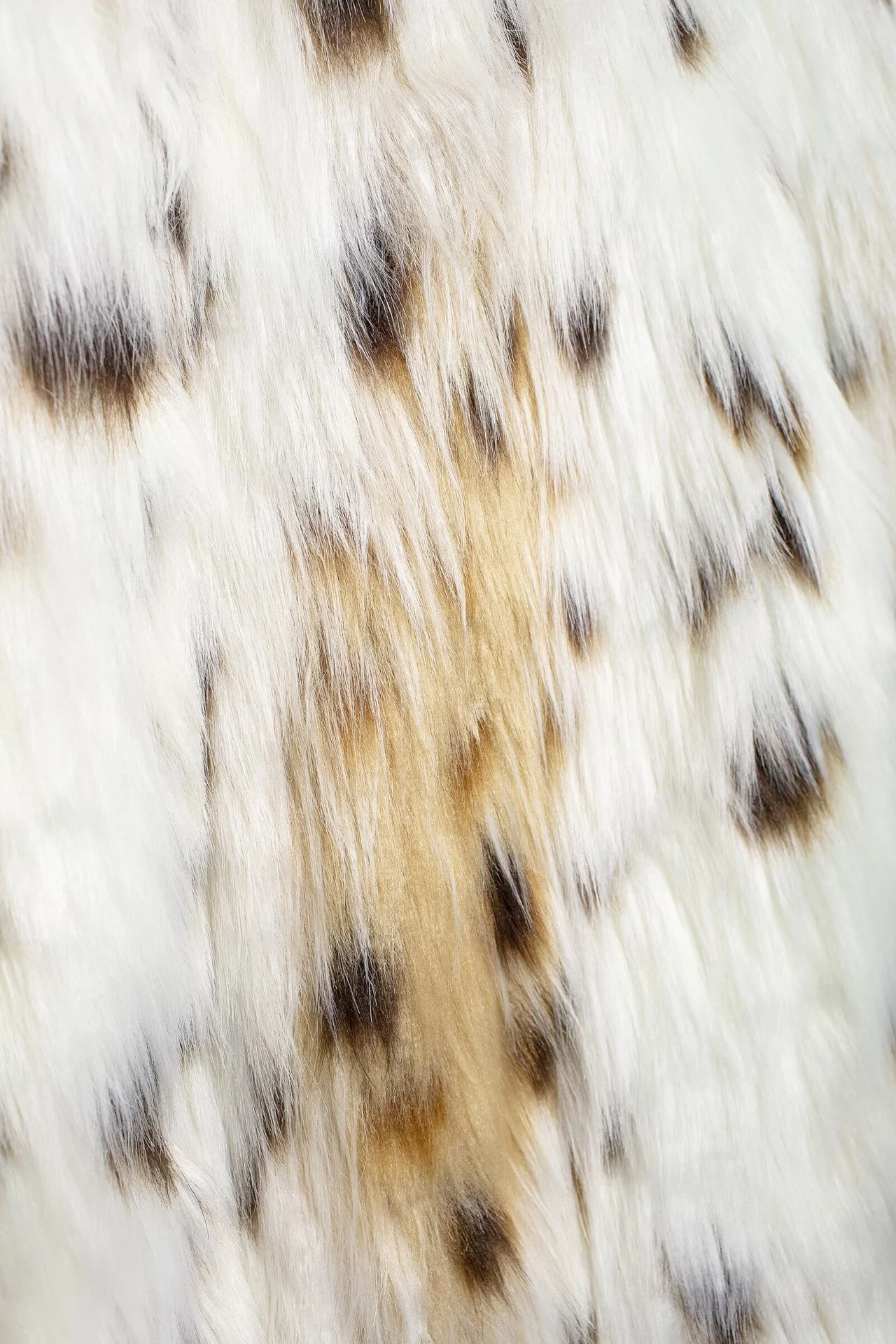 Title 12, Casaco folgado com estampa animal para moda fem...