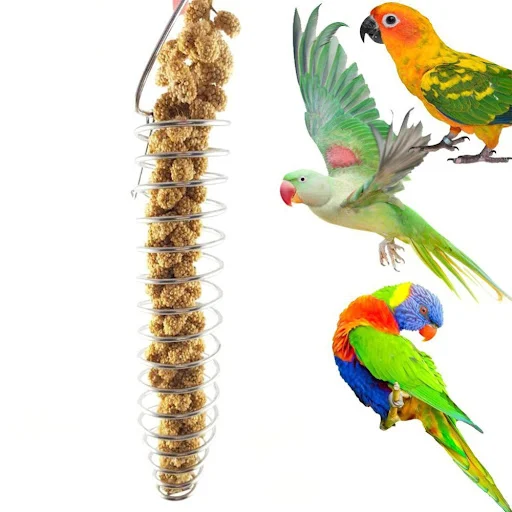 Stainless Steel Bird Parrot Feeder Food Fruits Basket Holder Foraging Equipment Bird Cage Feeding Device Birds Training — photo 6
