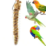 Stainless Steel Bird Parrot Feeder Food Fruits Basket Holder Foraging Equipment Bird Cage Feeding Device Birds Training — photo 6