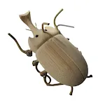 Rhinoceros