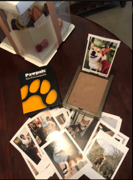 Salve cães e gatos permanentemente com nosso serviço. Garanta a saúde e o bem-estar de seus animais, proporcionando uma vida longa e feliz a eles. — foto 1