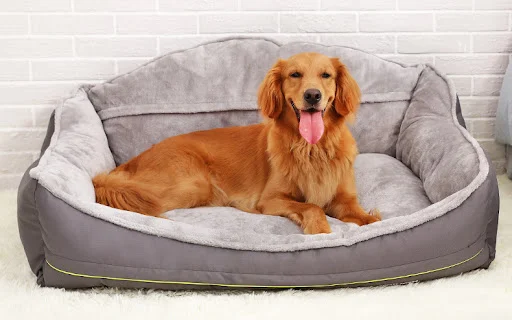 Title 6, High back waterproof inset doghouse