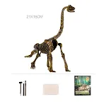 Brinquedo Educativo Escavação Esqueleto de Dinossauro Aprenda Arqueologia Desenterrando Fósseis Pré-históricos — foto 6
