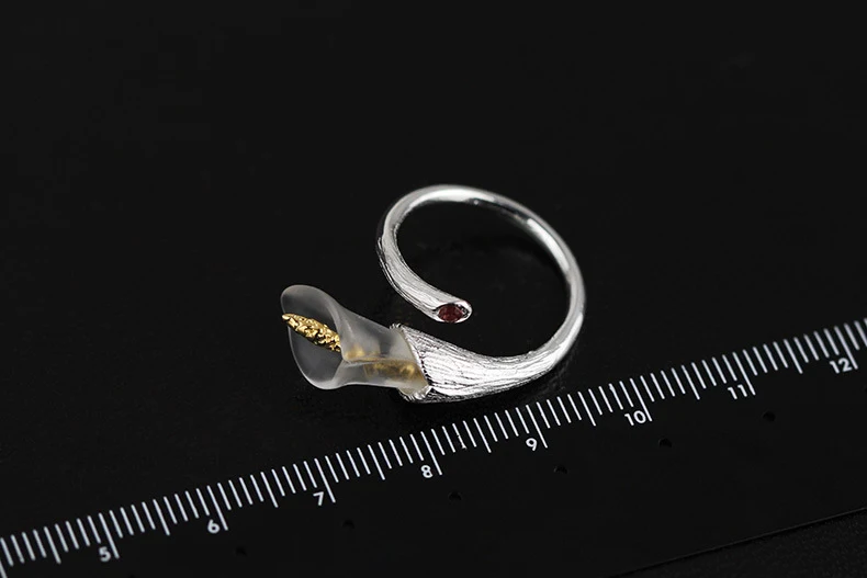 Title 5, Anel de calla de cristal