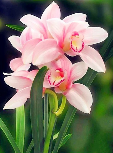 product image - 25