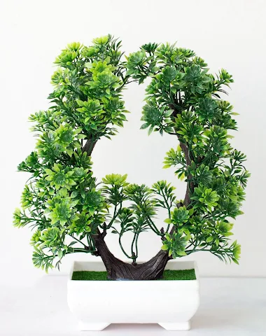 Image product - 0