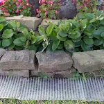 miniatures image - 2