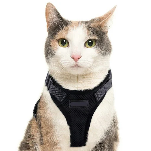 Title 5, PawProwl Cat Walking Harness, Escape Proof Desi...