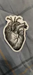 image - 3