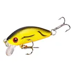 Black Back Yellow Body