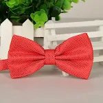Men's Bow Tie Polyester Yarn Casual Jacquard, a stylish and versatile accessory. Perfect for everyday wear and special o — photo 4