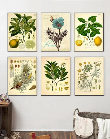 Image product - 3