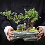 miniatures image - 0