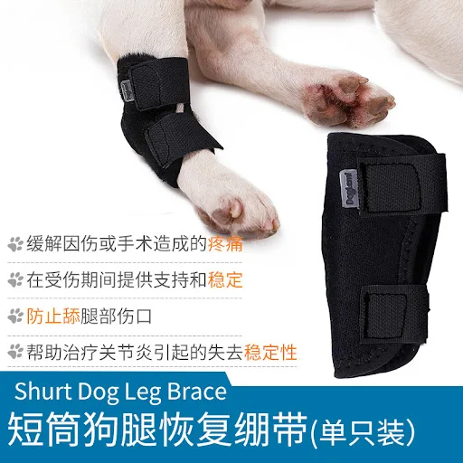 Protects Bandage Dog Arthritis Protector Cover Dog Leg Support Dogs Hock Joint Brace Pet Knee Pads Dogs Injury Recovery — photo 5