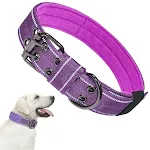 Purple reflective