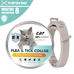 Gray Cat 38CM