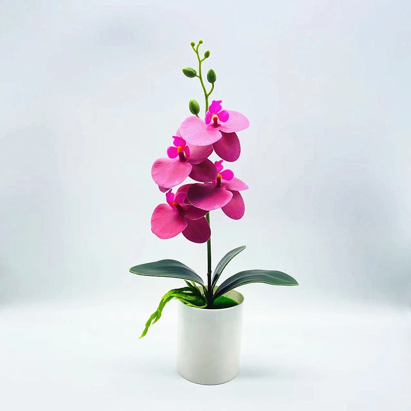 product image - 7