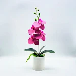 miniatures image - 7