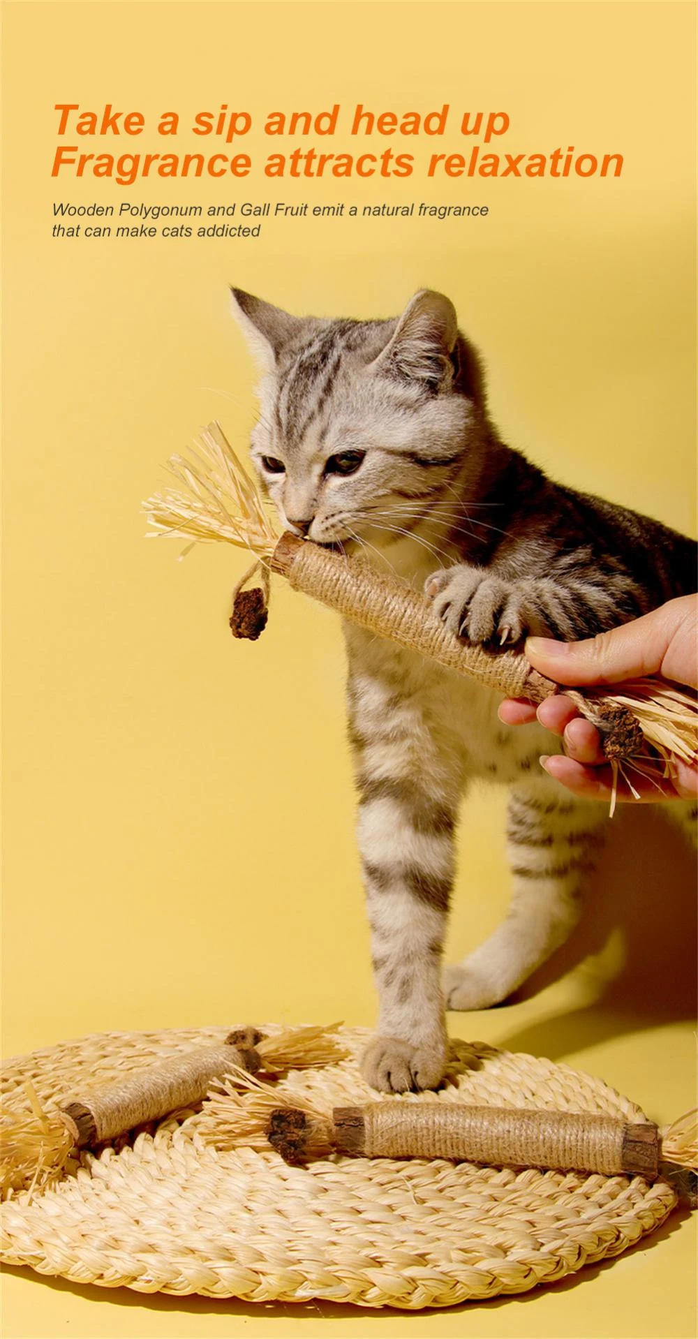 Title 10, Cat Tooth Cleaning Silvervin Stick Clean Teeth ...