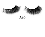 A19