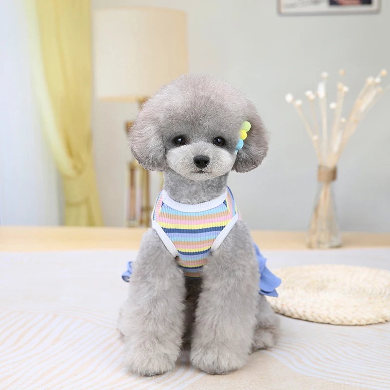 Köpek Elbisesi Karikatür Teddy Schnauzer Pug'lar Küçük ve Orta Boy Köpekler için Renkli Çizgili Etek Evcil Hayvan Giysileri. — Fotoğraf 4