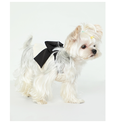 Title 12, Pet Black Silk Bow Beige Tank Top, stylish and ...