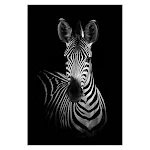 miniatures image - 1