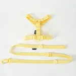 Chest M traction rope