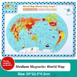 Medium Magnetic World Map