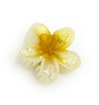 miniatures image - 12