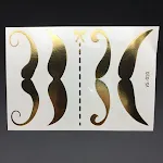 Vs010