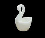 Swan