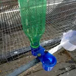 5/10/20Pcs Bird Quail Drinker Cups Water Bottle Cup Cat Chicken Pigeon Parrot Hamster Double Nozzle Water Guide For Fami — photo 6