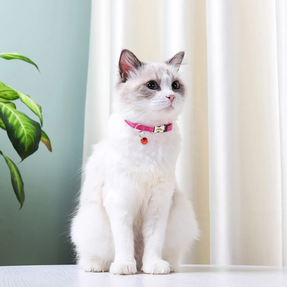 Title 21, Engraved Custom Cat Collar Reflective Kitten Pu...