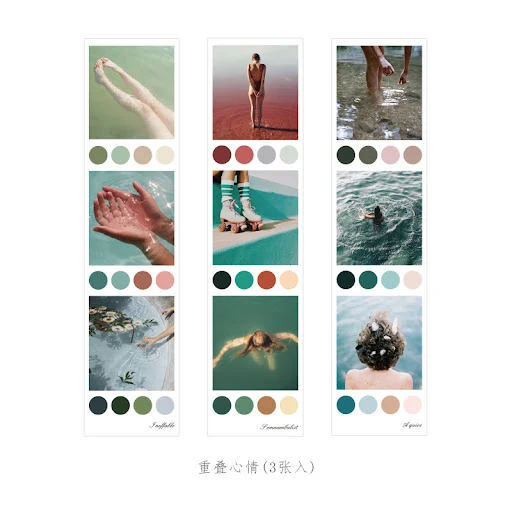Title 6, Early Foam Sticker Light and Shadow Bloom Serie...
