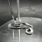 Colar de corrente de ossos de cobra larga em aço titânio que não desbota, para um visual elegante e resistente. — foto 3