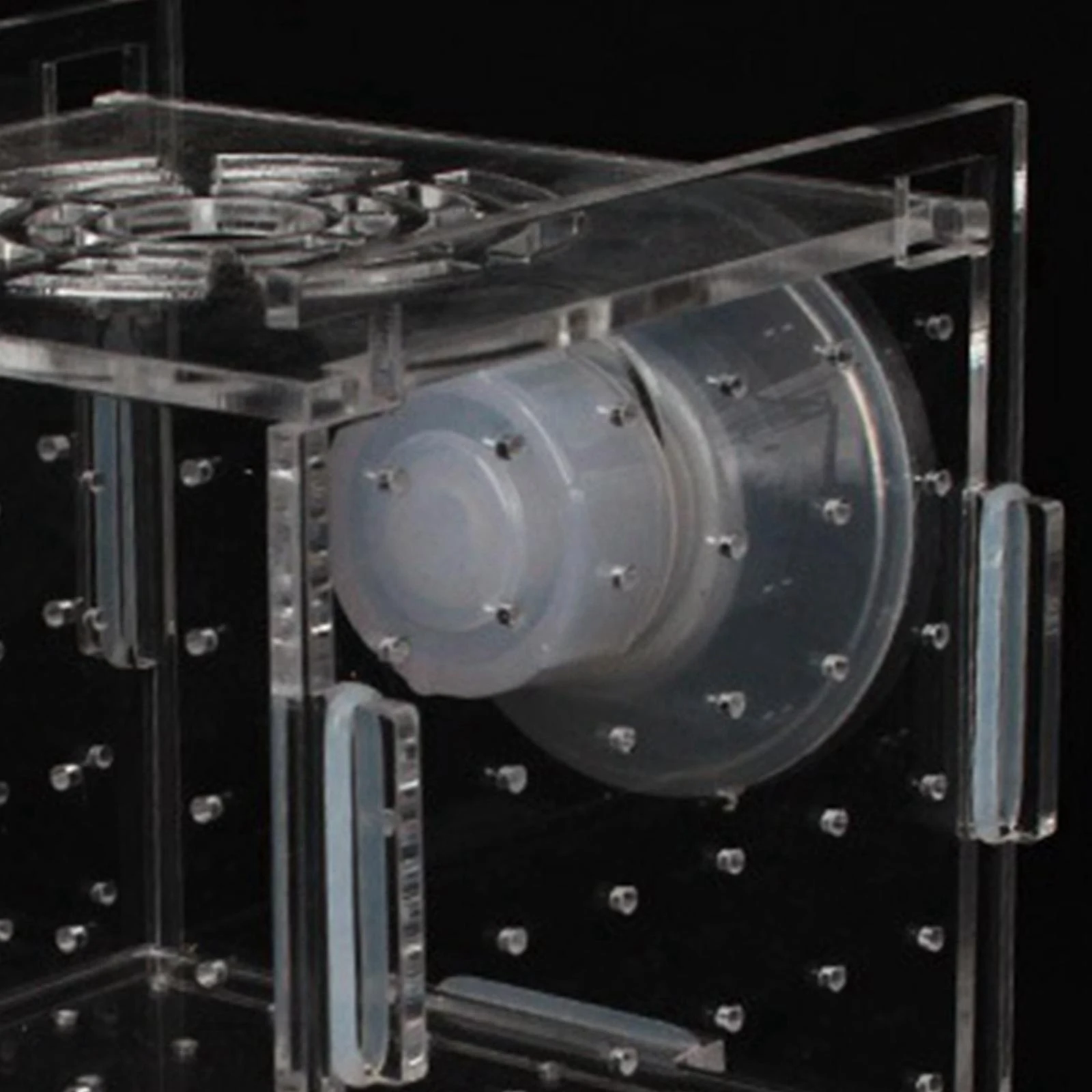 Title 5, Fish Breeder Box Transparent Suction Cup Square...