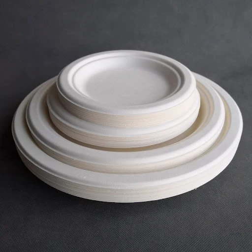 Title 3, 7-Inch Disposable Paper Plates perfect for barb...