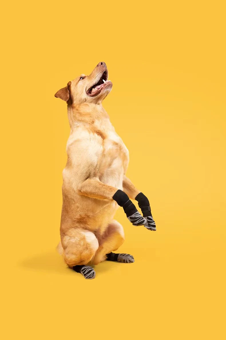 Title 8, Pet Cat Dog Outdoor Non-slip Waterproof Sock Sh...