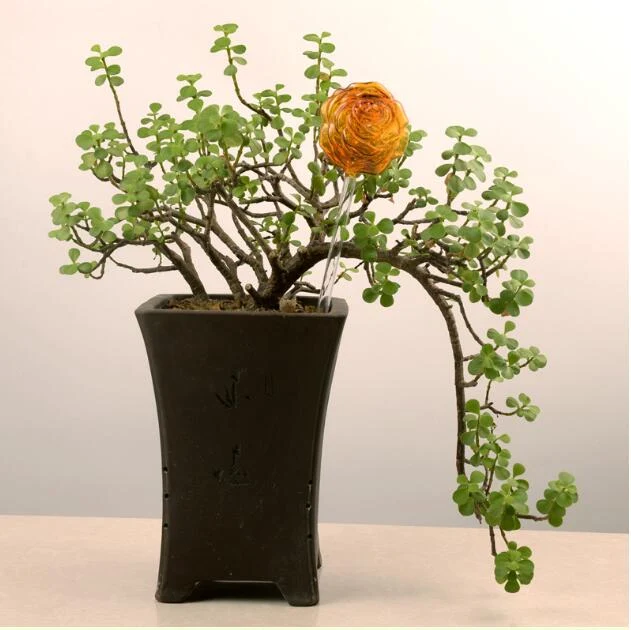 product image - 37
