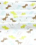 Little dinosaur