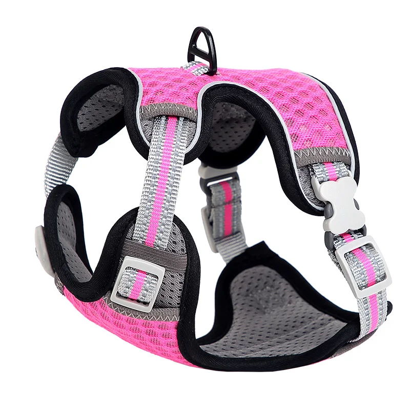 Title 4, Enjoy cat walks safely! "Going Out For A Cat Wa...