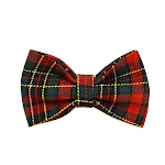 Christmas Pet Collar Plaid with Green Background Dog Rope Leash Suit, a Festive and Stylish Set for Holiday Walks and Ce — photo 21